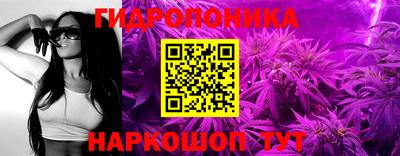 спайс Аргун